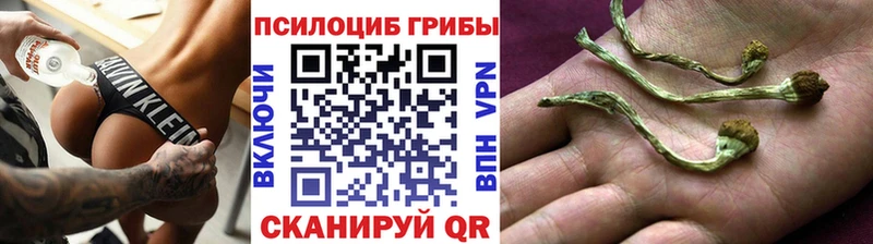маркетплейс клад  Магадан  Галлюциногенные грибы мицелий  KRAKEN рабочий сайт 